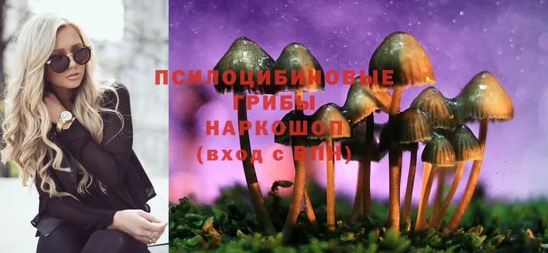 Псилоцибиновые грибы Psilocybine cubensis  Рыбное 